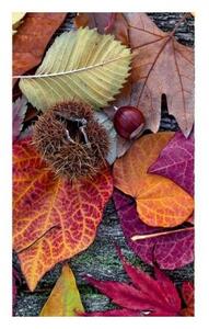 Fototapetă vlies frunze de toamnă 150 x 250 cm
