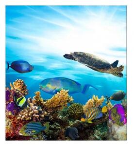 Fototapetă vlies pește în ocean 225 x 250 cm
