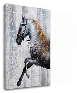 Tablou canvas KÔŇ 1 dielny XOBCHAN024 - 40x60 cm