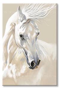 Tablou canvas MAJESTY WHITE Pigeon - 40x60 cm