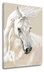Tablou canvas MAJESTY WHITE Pigeon - 40x60 cm