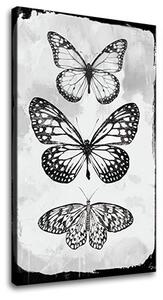 Tablou canvas MOTYLES 1 parte - 40x60 cm
