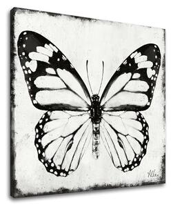 Tablou canvas MOTHER 1 parte - 50x50 cm