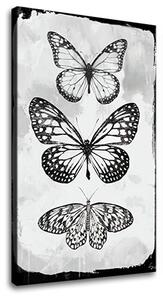 Tablou canvas MOTYLES 1 parte - 40x60 cm