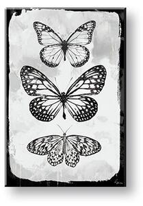 Tablou canvas MOTYLES 1 parte - 40x60 cm
