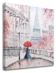 Tablou canvas PARIS 1 parte - 50x50 cm