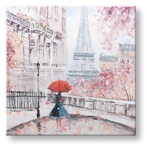 Tablou canvas PARIS 1 parte - 50x50 cm