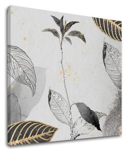 Tablou canvas PLANTS 002 - 40x40 cm