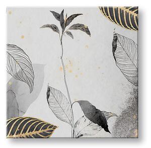 Tablou canvas PLANTS 002 - 40x40 cm