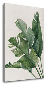 Tablou canvas PLANTS 008 - 40x60 cm
