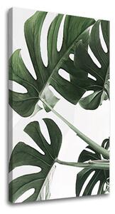 Tablou canvas PLANTS 009 - 40x60 cm