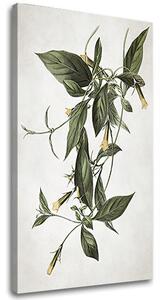 Tablou canvas PLANTS 012 - 40x60 cm
