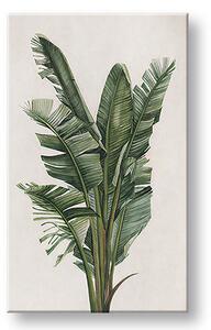 Tablou canvas PLANTS 007 - 40x60 cm