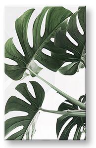 Tablou canvas PLANTS 009 - 40x60 cm