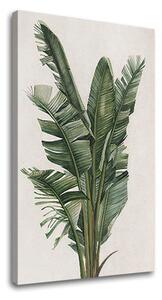 Tablou canvas PLANTS 007 - 40x60 cm