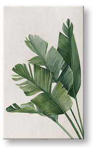 Tablou canvas PLANTS 008 - 40x60 cm