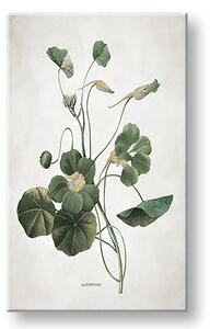 Tablou canvas PLANTS 011 - 40x60 cm
