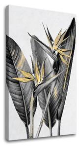 Tablou canvas RASTLINES 003 - 40x60 cm