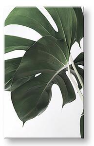 Tablou canvas RASTLINES 010 - 40x60 cm