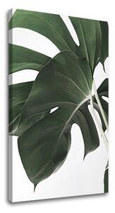 Tablou canvas RASTLINES 010 - 40x60 cm