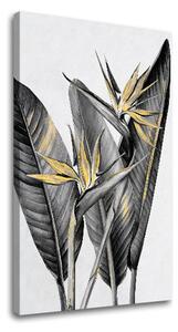 Tablou canvas RASTLINES 003 - 40x60 cm