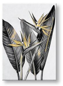 Tablou canvas RASTLINES 003 - 40x60 cm