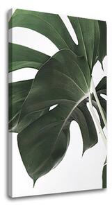 Tablou canvas RASTLINES 010 - 40x60 cm