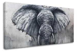 Tablou canvas SLON 1 parte XOBCH13AN0025SET-E1 - 120x60 cm