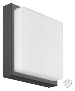 Ernest LED lampă de perete pentru exterior, grafit, detector de mișcare