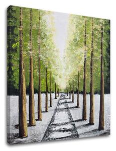 Tablou canvas COPACI 1 parte - 40x40 cm