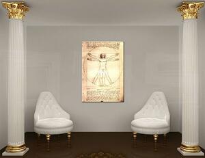 Tablou canvas VITRUVIAN MAN- Leonardo Da Vinci REP167 - 100x70 cm