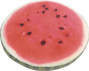 Pernă scaun Solevito Velvet Watermelon Ø 40 cm