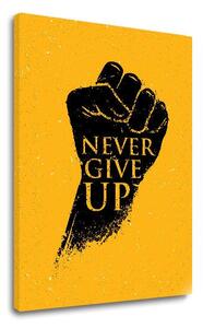 Tablou motivațional Nu renunța niciodată - 20x30 cm