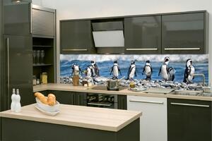 Fototapet pentru bucătărie - pinguini 260 x 60 cm