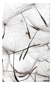 Fototapetă vlies puf de păpădie 150 x 250 cm