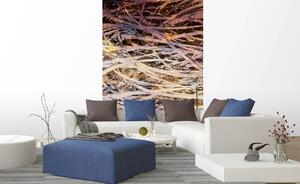 Fototapetă vlies fân abstract i. 150 x 250 cm