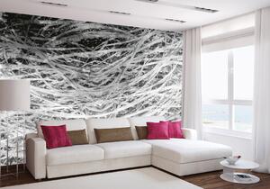 Fototapetă vlies fân abstract ii. 375 x 250 cm
