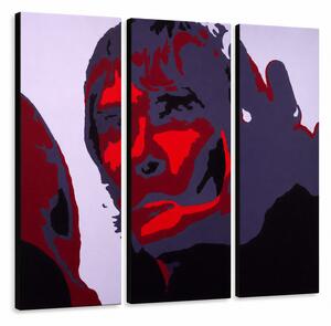 Tablou POP ART pictat manual Ian Brown 3 bucata ib - 60x40 cm