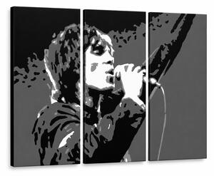 Tablou POP ART pictat manual Ian Brown 3 bucăți ib2 - 60x40 cm