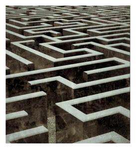 Fototapetă vlies labirint 3d 225 x 250 cm