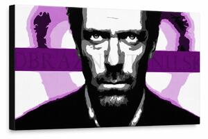 Pictate manual POP Art Art pictura Dr. HOUSE 1 bucată 1010 dh - 80x40 cm