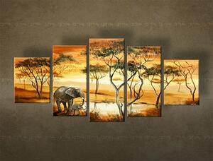 Pictate manual Tablou de perete AFRICA