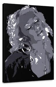 Pictate manual POP Art Christina Aguilera 1 buc ca - 30x40 cm