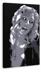 Pictate manual POP Art Christina Aguilera 1 buc ca2 - 30x40 cm