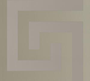 Tapet vlies pentru perete versace 38609-2