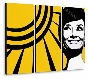 Tablou POP ART pictat manual Audrey HEPBHURN 3 bucăți ah2 - 60x40 cm