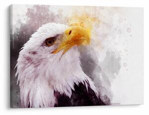 Tablou - Vultur (70x50 cm)