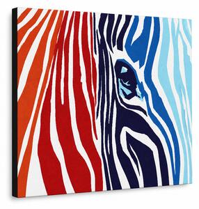 Tablou POP ART pictat manual CULORI 1 bucată zebră - 100x70 cm
