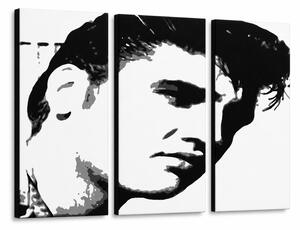 Tablou POP ART pictat manual ELVIS 3 piese el - 60x40 cm