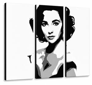 Tablou POP ART pictat manual Elizabhet Taylor 3 bucăți et - 60x40 cm